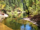 PICTURES/Sedona West Fork Trail  - Again/t_Oak Creek6.jpg